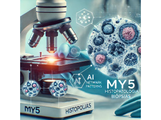 My5 - 31 3636 7881, Diagnóstico Médico com Exatidão em Montes Claros